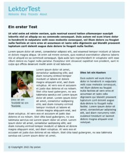 Abbildung 3: Zu den Spezialit&auml;ten von Lektor z&auml;hlen einfach zu erzeugende Gruppen von Eingabefeldern, die zum Beispiel aus dem Dateinamen, einer Gr&ouml;&szlig;enangabe und der Bildunterschrift den Bildkasten links erzeugen.