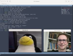 Abbildung 7: Das f&uuml;r den Einsatz im Terminal gedachte Toxic beherrscht das volle Programm. Auf einem System mit grafischem Desktop gestartet, unterst&uuml;tzt der Client sogar Videogespr&auml;che.