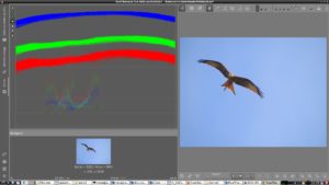 Abbildung 2: Bei der Waveform entsprechen die drei Farbstreifen im oberen Teil der Grafik der Farbe des Himmels, w&auml;hrend das kleine wellenf&ouml;rmige Gebilde darunter die Pixel des Vogels repr&auml;sentiert.