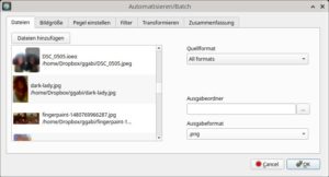 Abbildung 4: Mithilfe der Stapelverarbeitung bearbeiten Sie gleich eine ganze Reihe von Bildern. Mit einem Klick auf <span class="ui-element">OK</span> führen Sie alle eingestellten Aktionen aus.