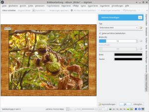Abbildung 9: In vielen Fällen erzeugt die Bildbearbeitung von Digikam auch im Automatikmodus ansehnliche Ergebnisse.