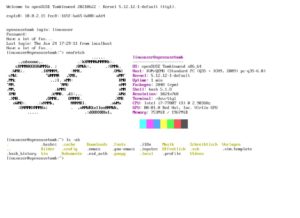 Abbildung 3: Selbst Linux-Systeme mit grafischer Oberfl&auml;che verf&uuml;gen immer noch &uuml;ber eine Konsole. Die wirkt auf Einsteiger mitunter einsch&uuml;chternd, doch nach dem Login verh&auml;lt sie sich genau wie ein Terminal auf dem gewohnten Desktop.