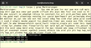 Abbildung 3: Das Skript <code>testcpu.sh</code> ermittelt zu welcher 64-Bit-Generation die im Rechner verbaute CPU gehört.