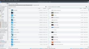 Abbildung 4: Der Dateimanager Dolphin ist seit SC&nbsp;4 Teil von KDE und l&ouml;ste Konqueror, der heute noch als Browser dient, als Dateimanager ab. Dolphin ist in der Zwei-Fenster-Ansicht kaum von anderen Dateimanagern zu schlagen.