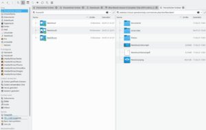 Abbildung 6: Im Dateimanager sehen Sie links die Einbindung verschiedener Instanzen im Desktop-Client und rechts die von Operation Tulip per WebDAV.