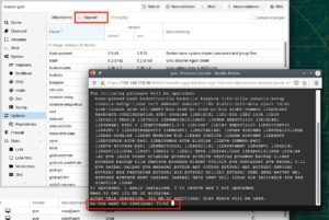Abbildung 6: Das Einspielen der Updates dauert einige Minuten. Nach Abschluss der Aktualisierung erscheint ein Root-Shell-Prompt.