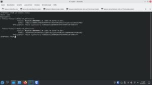 Abbildung 5: &Uuml;ber eine Statusabfrage sehen Sie vor einem Neustart, welche Abbilder der Bootmanager Grub Ihnen anbietet.
