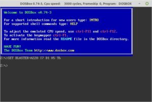 Abbildung 1: DOSBox emuliert einen alten 16-Bit-DOS-PC.