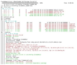 Abbildung 2: Zwei Debian-Pakete verschiedener Softwareversionen im direkten Vergleich.