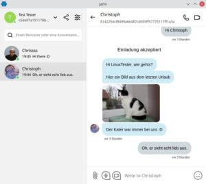 Abbildung 2: In Zukunft konzentrieren sich die Entwickler auf die Qt-Version des Jami-Clients. Aber auch die Windows- und Mac-Clients von Jami unterst&uuml;tzen bereits den Schwarm.