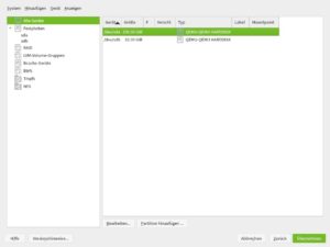 Abbildung 3: Zwei leere "Festplatten" – in Wirklichkeit eine größere Festplatte und eine kleinere SSD – dienen als Ausgangspunkt für eine Root-Partition und einen SSD-Cache, der das Home auf der Festplatte beschleunigt. Anders als hier auf einer virtuellen Maschine zeigt der <span class="ui-element">Typ</span> bei einem echten Computer die Marke und den Typ des Speichergeräts.