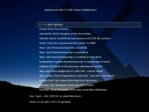 Abbildung 2: Im neuen UEFI-Bootmenü dürfen Sie zwischen zahlreichen Optionen für den Boot-Vorgang und die Persistenz auswählen.