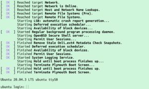 Abbildung 3: Der Login-Screen des RISC-V-Ubuntu.