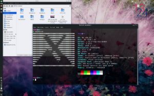 Abbildung 3: Als Standard-Kernel nutzt MX den LTS-Kernel 5.10, doch Sie können die Kernel 5.13 und 5.14 nachträglich installieren beziehungsweise einen neuen Live-Spin damit erstellen.