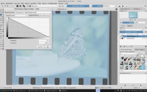 Abbildung 1: In Krita konvertieren Sie ein Negativ in ein Positiv, indem Sie die Tonwertkurve im Werkzeug <span class="ui-element">Farbanpassung</span> umkehren.