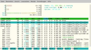 Abbildung 8: Der Systemmonitor Htop zeigt links oben die CPU-Last, die RAM-Belegung und den Umfang des in den Swap-Bereich ausgelagerten Arbeitsspeichers. Die Liste lässt sich sortieren und durchsuchen.