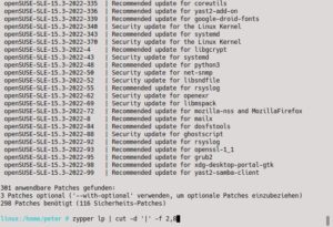 Abbildung 9: Der Cut-Befehl unten filtert die etwas zu ausführlich geratene Patch-Liste von Zypper und zeigt nur die wichtigsten Bestandteile.
