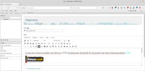 Abbildung 2: Im Editormodus geben Sie alle relevanten Inhalte ein.