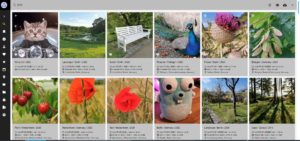 Abbildung 1: Mit der Demo-Anwendung auf der Webseite des Projekts können Sie herausfinden, ob PhotoPrism Ihren Vorstellungen entspricht.