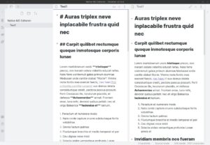 Abbildung 3: Obsidian ist eigentlich ein Zettelkasten, funktioniert aber auch bestens als Markdown-Editor.