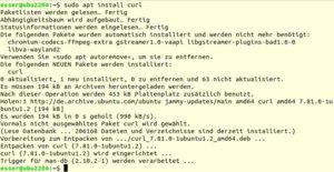 Abbildung 5: Wenn es keine Abhängigkeiten gibt, spielt Apt Pakete ohne Rückfrage ein.