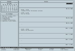 Abbildung 6: Calcurse mit einer angepassten Anordnung der Bedienfelder. Die Bereiche <span class="ui-element">Kalender</span> und <span class="ui-element">Zu erledigen</span> sind nach links ger&uuml;ckt, zudem wurde die Farbgebung auf schwarz-wei&szlig; reduziert.