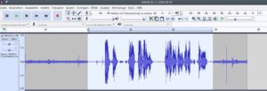 Abbildung 1: Eine Sprachaufnahme nach Anwendung der Noise Reduktion in Audacity. Wo vorher ein unsch&ouml;nes Brummen und Rauschen st&ouml;rte, herrscht jetzt Stille.