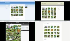 Abbildung 6: Die vorinstallierten Themes von Zenphoto hei&szlig;en Basic, Garland, Zenpage und zpMobile.