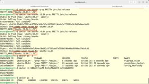 Abbildung 2: Bei Tests mit verschiedenen Ubuntu-Versionen finden Sie Versionsinformationen in <code>/etc/os-release</code>.