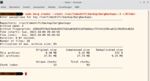 Abbildung 3: Mit <code>borg create</code> wird hier ein Archiv des Ordners namens Bilder angelegt. Die Option <code>--stats</code> sorgt f&uuml;r eine ausf&uuml;hrliche Ausgabe.