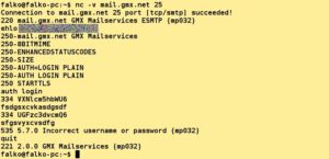 Abbildung 1: Netcat bei der Fehlerdiagnose.