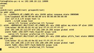 Abbildung 2: Kleiner Befehl, gro&szlig;e Wirkung: Selbst eine primitive Backdoor mit Netcat liefert zahlreiche Informationen &uuml;ber einen Rechner.