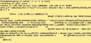 Abbildung 3: Cryptcat versendet verschl&uuml;sselt mit passwortgesch&uuml;tztem Twofish-Algorithmus.