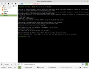 Abbildung 3: &Uuml;ber virtuelle Terminals halten Sie im &Aacute;sbr&uacute; Connection Manager mehrere Verbindungen simultan ge&ouml;ffnet.