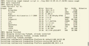Abbildung 4: Wird das Skript mit dem Befehl <code>./unsnap auto</code> aufgerufen, l&auml;uft der Prozess automatisch durch.
