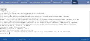 Abbildung 7: Via <span class="ui-element">Shell</span> gelangen Sie in eine Terminalemulation, in der Sie beliebige Linux-Befehle absetzen.