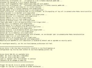 Abbildung 1: Die Installation von OpenVPN nehmen Sie am Prompt vor, wobei am Ende der Routine IP-Adressen und Ports für den internen Webserver angezeigt werden.