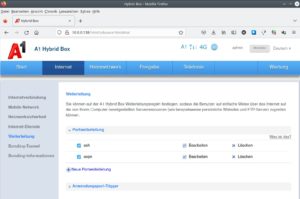 Abbildung 2: Im Internet-Router gilt es, das Port Forwarding f&uuml;r VPN entsprechend einzurichten.