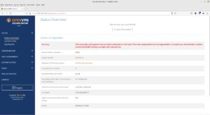 Abbildung 3: Die Statusübersicht macht Sie mit den wichtigsten Parametern des OpenVPN-Servers vertraut.