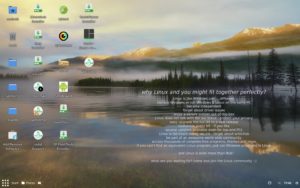 Abbildung 1: Der Budgie-Desktop zeigt sich in einem ansprechenden Layout.