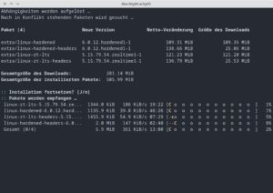 Abbildung 5: Während der Installation neuer Kernel erhalten Sie zahlreiche Informationen.