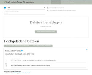 Abbildung 5: Lufi ist eine freie Datei-Hosting-Software, die keine Registrierung voraussetzt. Die Dateien werden vor dem Hochladen auf den Server verschl&uuml;sselt.