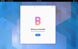 Abbildung 1: Beim ersten Start von BlendOS erscheint eine Installationsroutine.