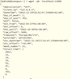 Abbildung 5: Der Timeserver gibt die lokale Zeit samt etlicher Zusatzinformationen im JSON-Format aus.