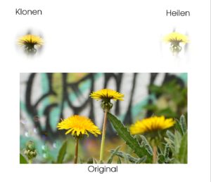 Abbildung 4: Ein Vergleich zwischen den Werkzeugen <span class="ui-element">Heilen</span> und <span class="ui-element">Klonen</span> zeigt, dass die Werkzeuge trotz derselben Einstellungen verschiedene Ergebnisse bewirken.