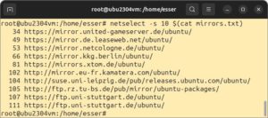 Abbildung 6: Netselect berechnet Scores für eine Liste von Mirror-Servern und gibt die besten davon aus.