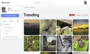 Abbildung 8: Auf der Pixelfed-Seite <span class="ui-element">Trending</span> sehen Sie die beliebtesten Fotos der Instanz.