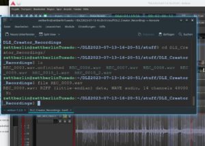 Abbildung 5: Wie die meisten modernen Sound-L&ouml;sungen nimmt auch das DLZ Streams mit 48&nbsp;kHz Aufl&ouml;sung auf. Damit l&auml;sst sich das Material auch ohne Umrechnungsverlust in g&auml;ngigen Videoformaten verwenden.