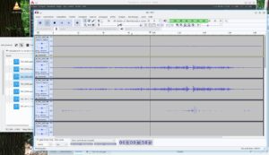 Abbildung 6: Audacity legt beim &Ouml;ffnen der WAV-Datei des DLZ automatisch f&uuml;r jeden Kanal eine Mono-Spur an, auch f&uuml;r Kan&auml;le ohne Signal.