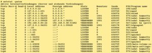Abbildung 6: Netstat listet Verbindungen auf, wobei es die Programme anzeigt, die die Verbindungen nutzen.
